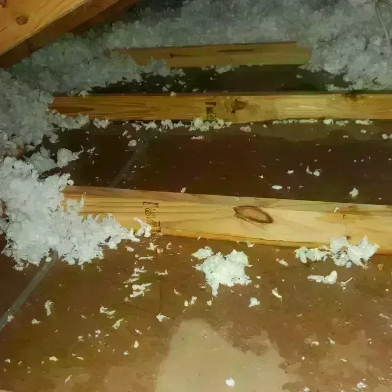 Attic Water Damage in Saxapahaw, NC